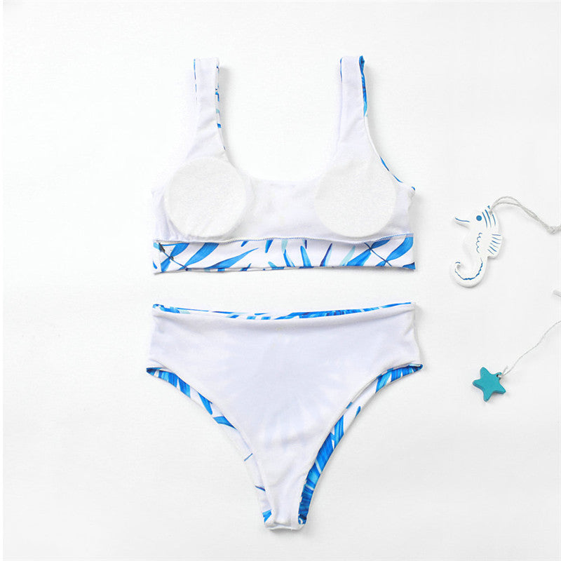 Blue Lagoon