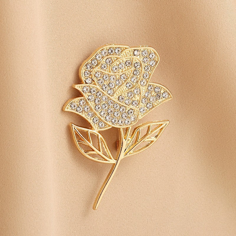 Pin & Shine