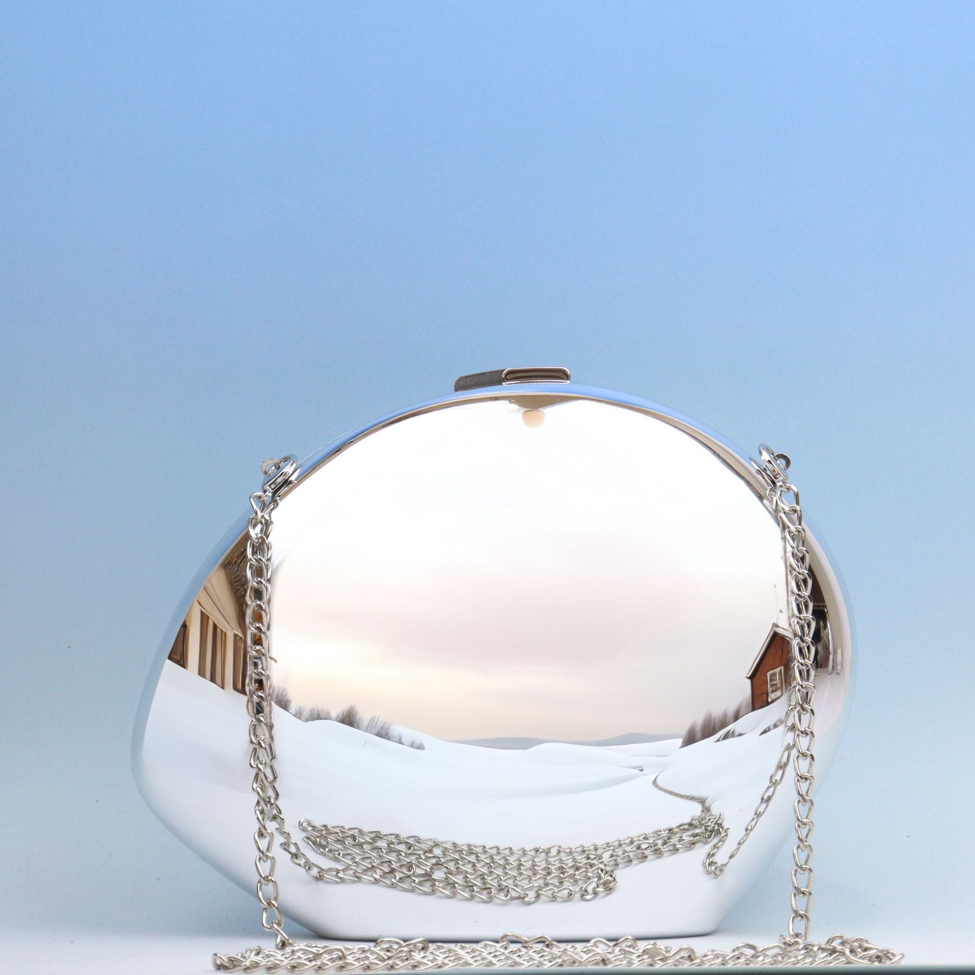 Acrylic Metallic Goose Clutch